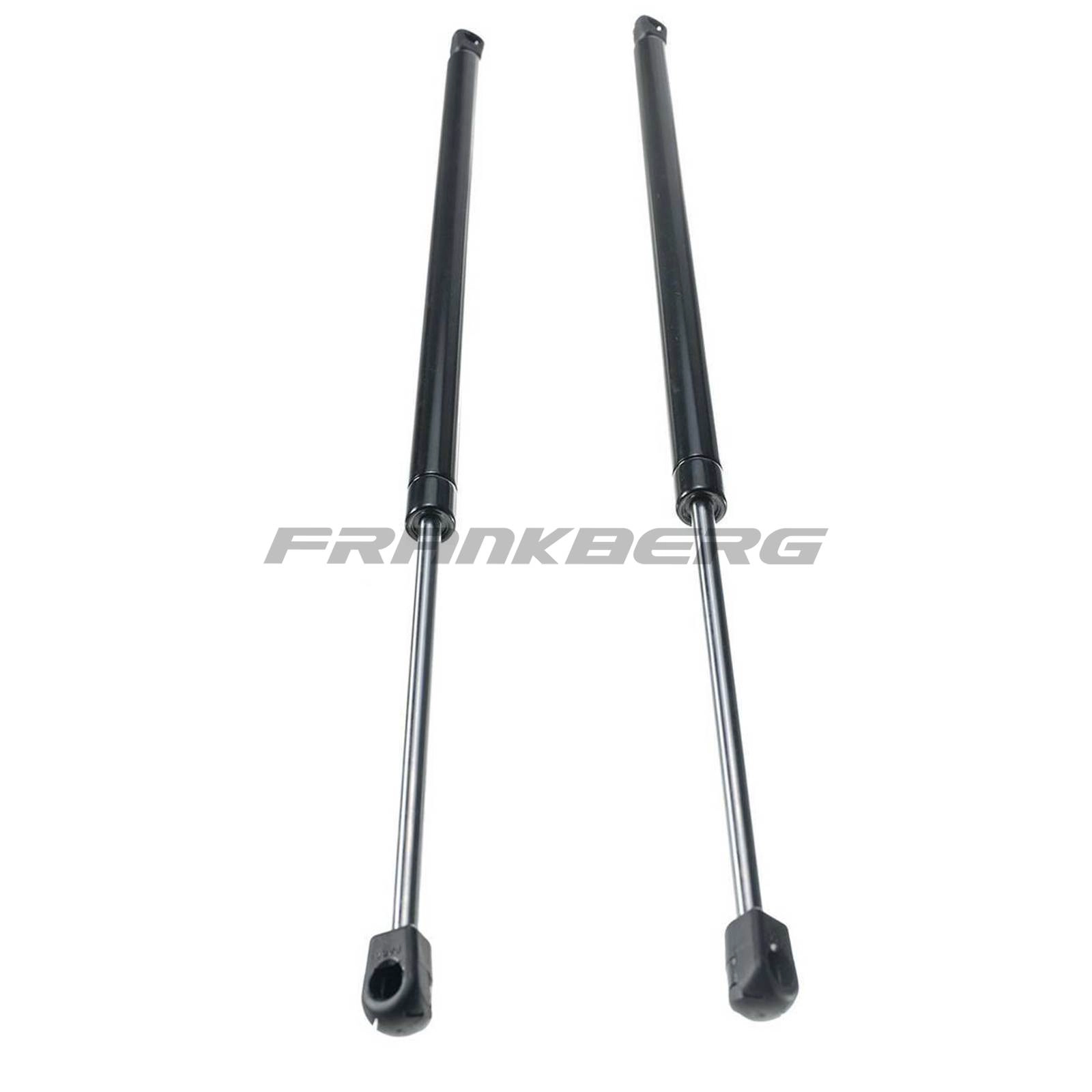 Gas Spring, boot/cargo area