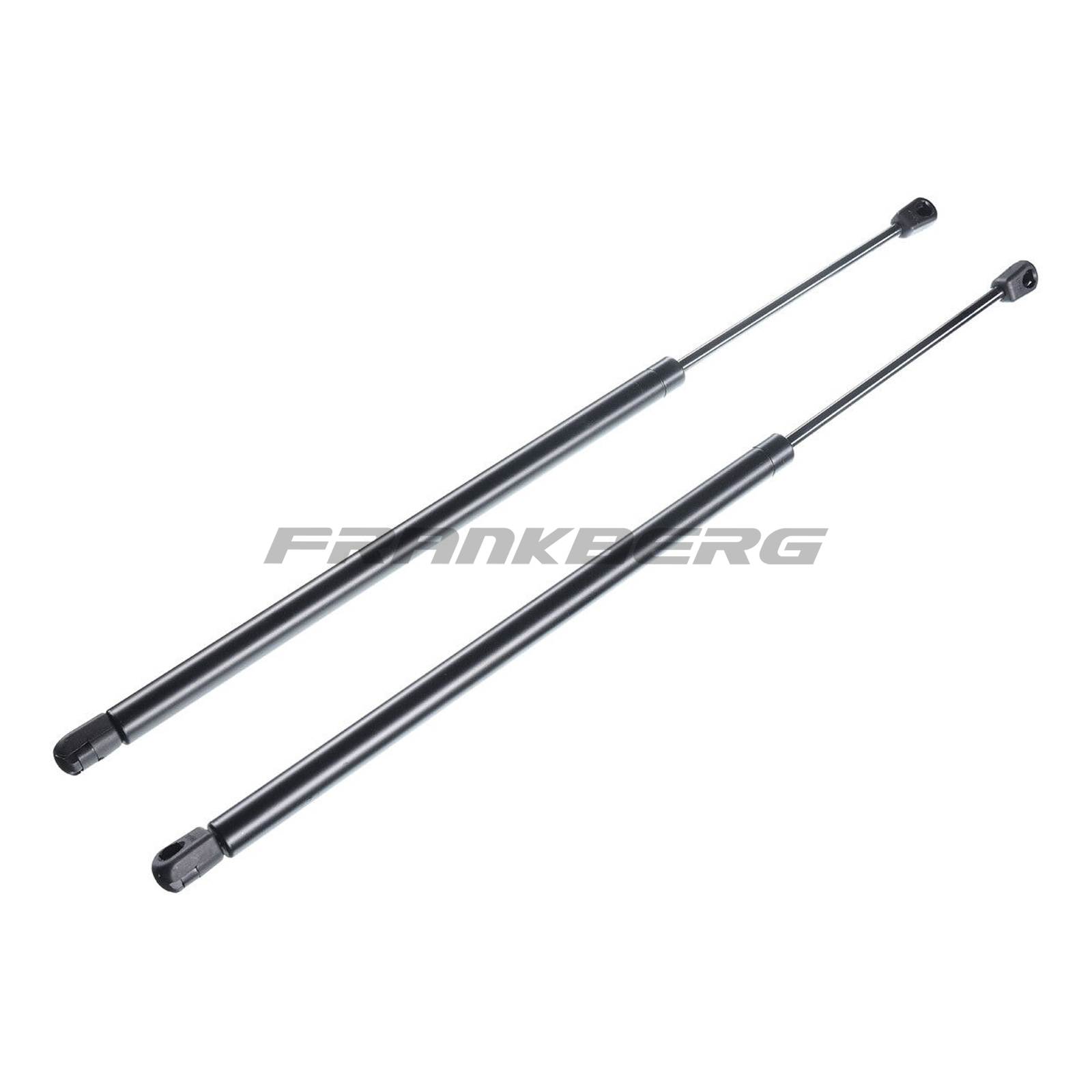 Gas Spring, boot/cargo area