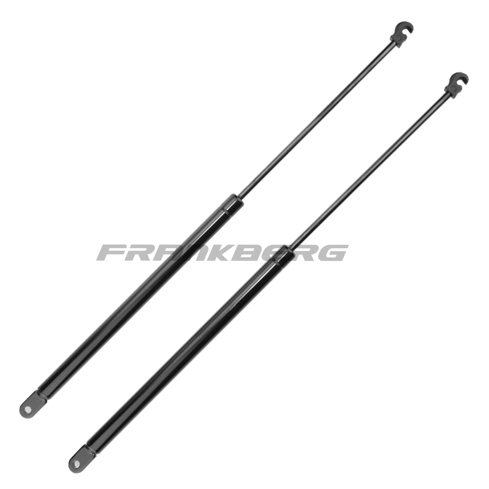 Gas Spring, boot/cargo area