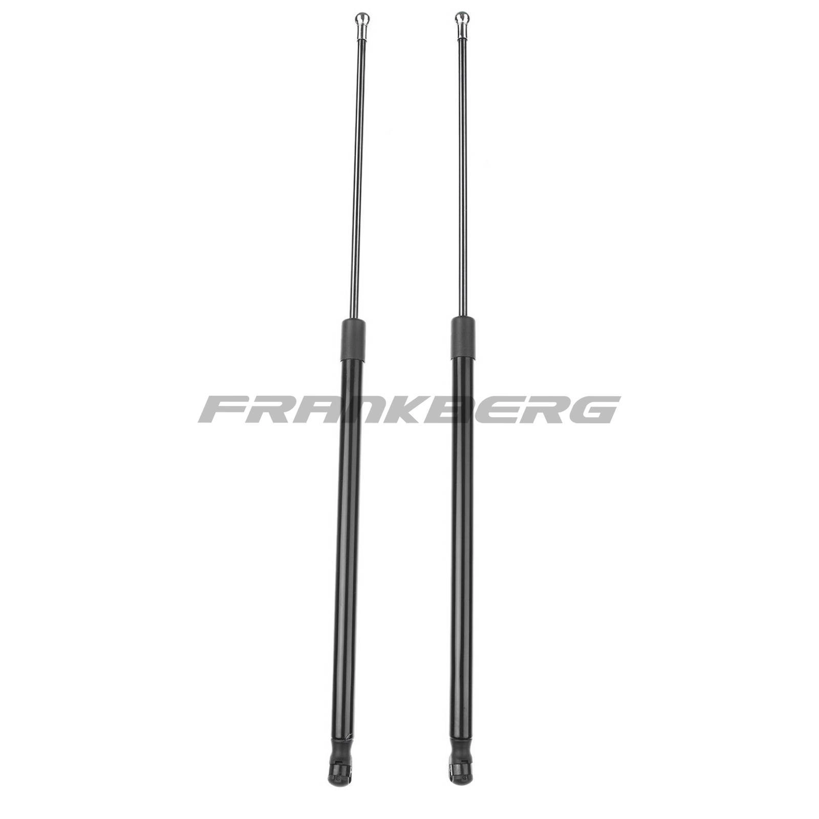 Gas Spring, boot/cargo area