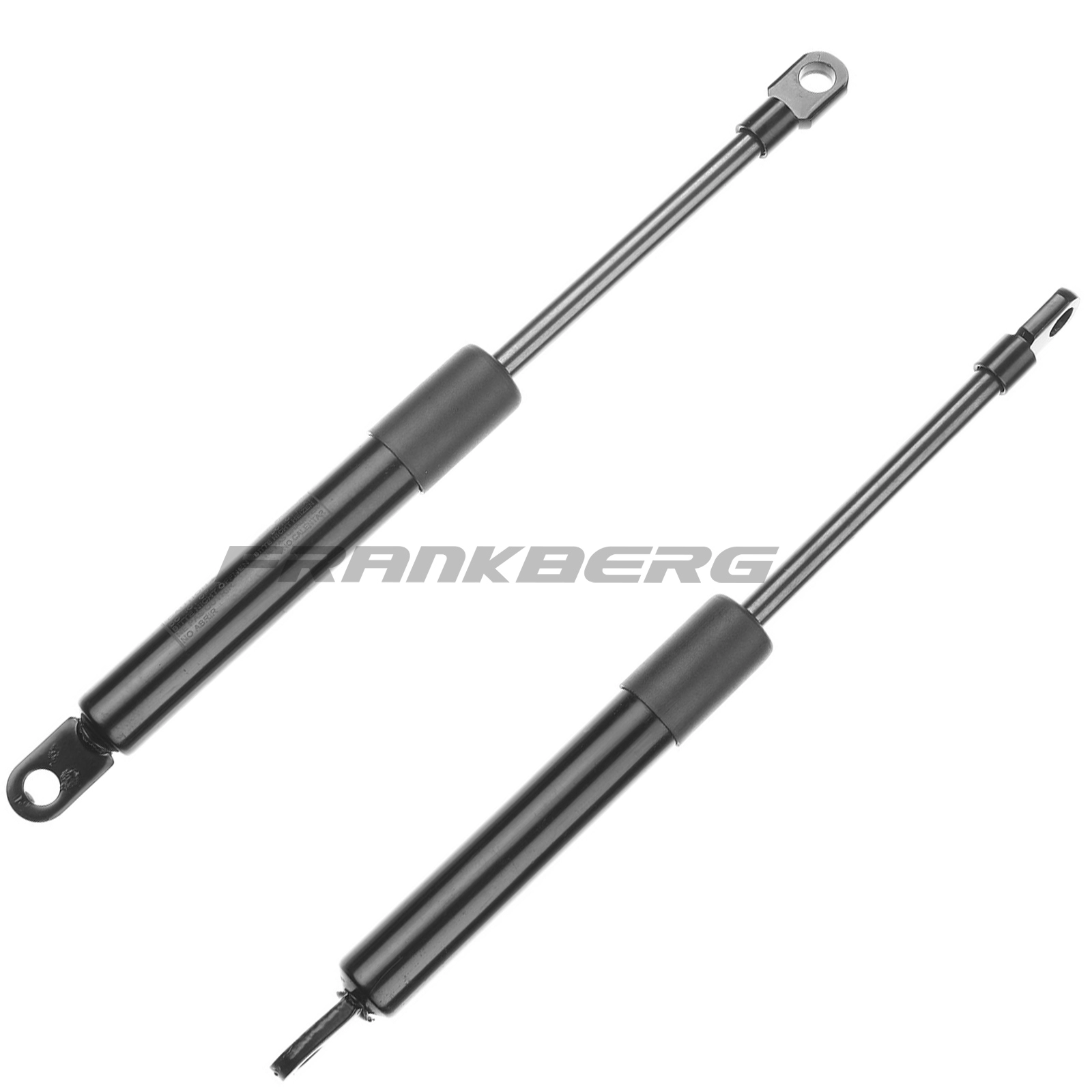 Gas Spring, boot/cargo area