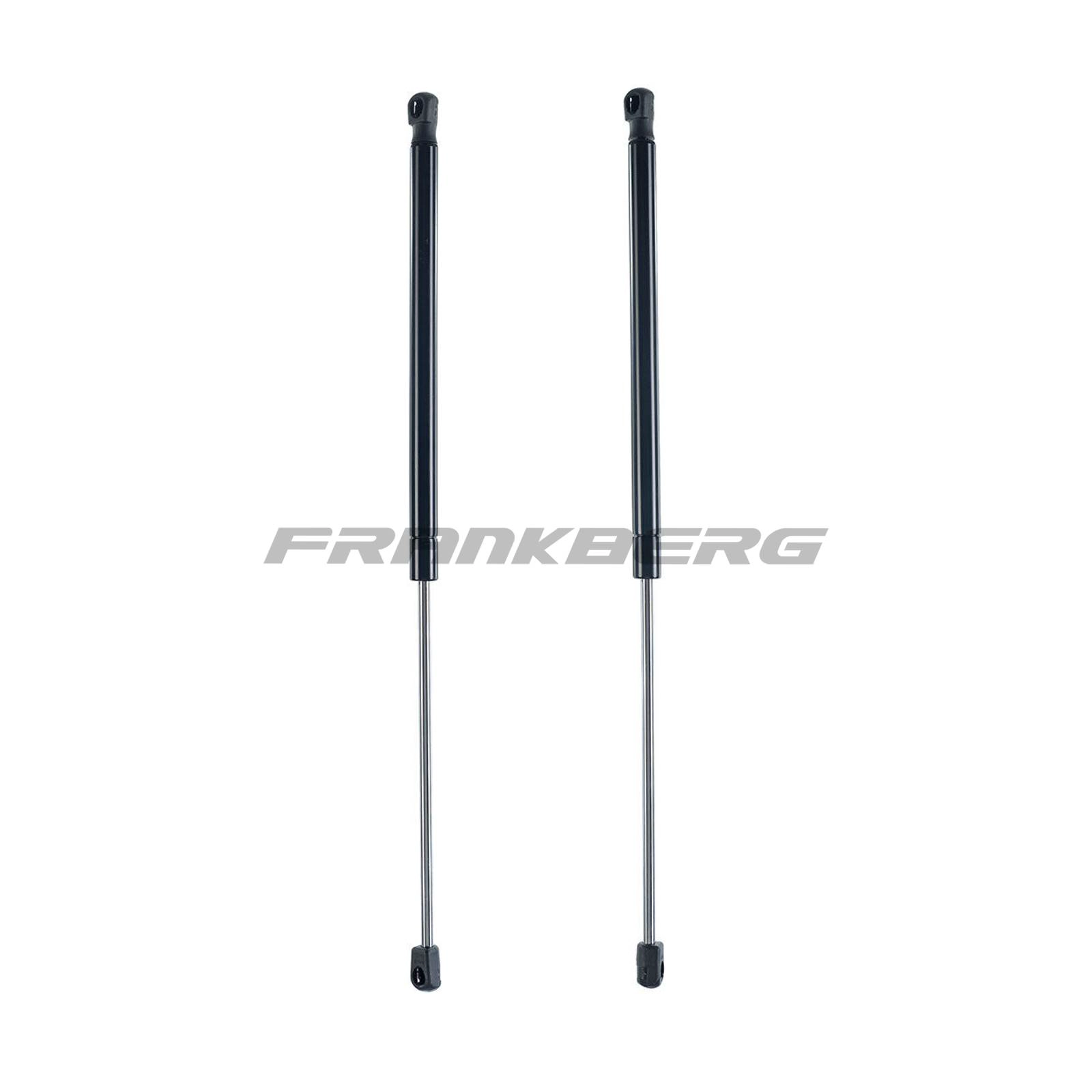 Gas Spring, boot/cargo area