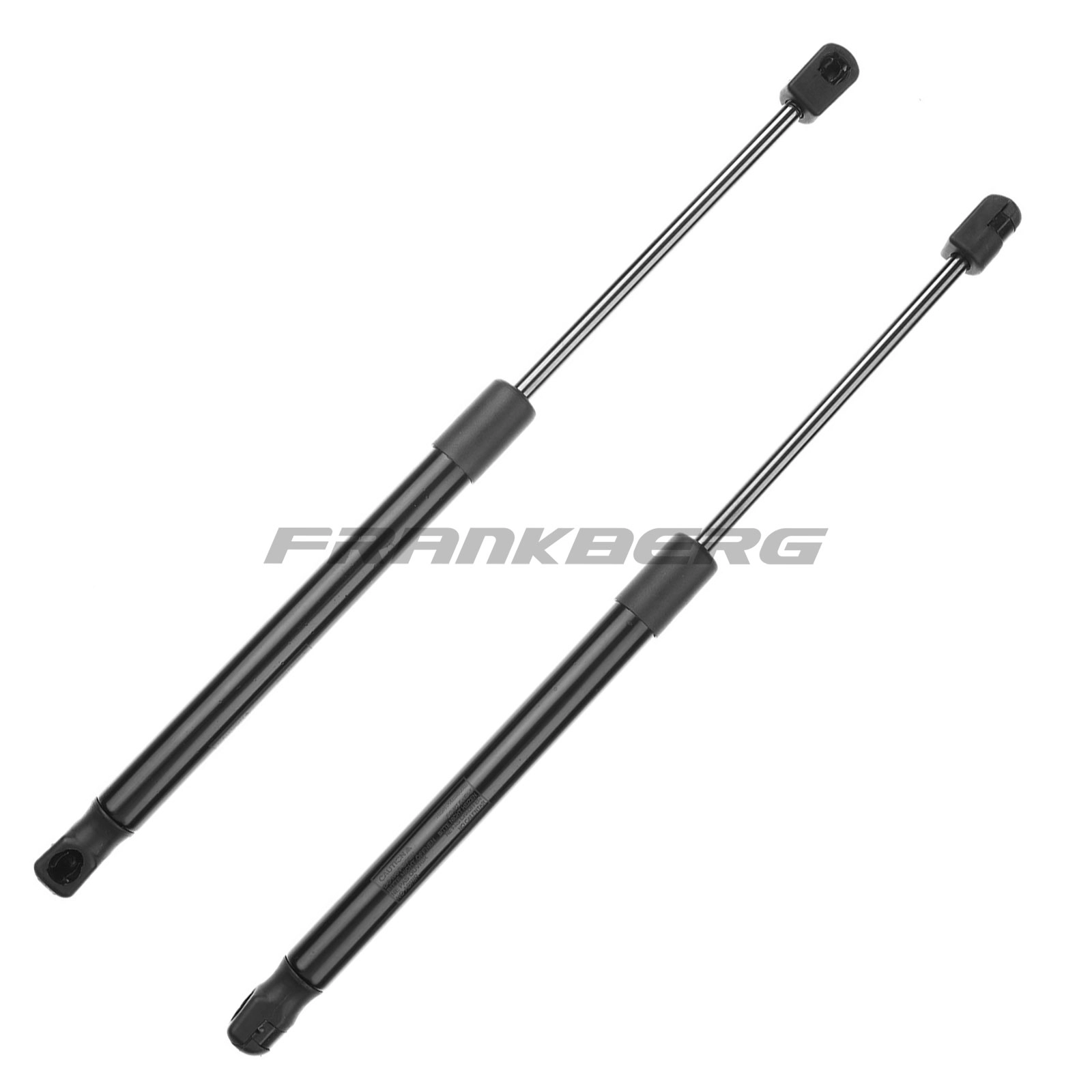 Gas Spring, boot/cargo area