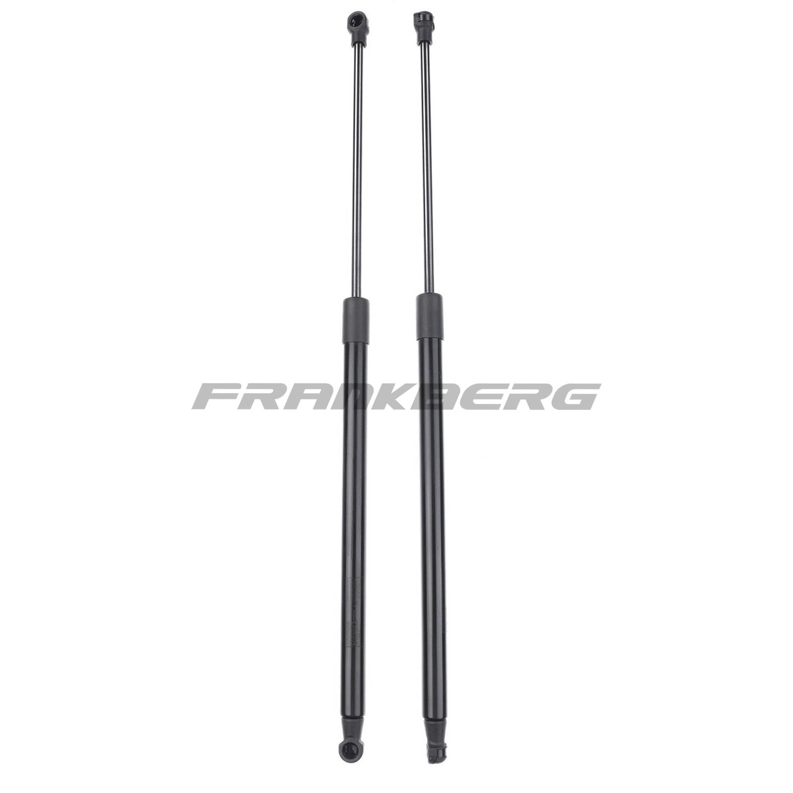 Gas Spring, boot/cargo area