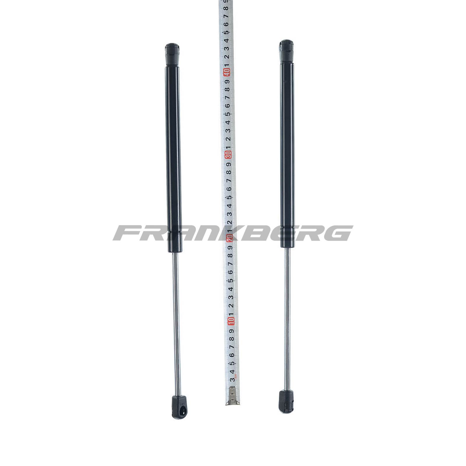 Gas Spring, boot/cargo area