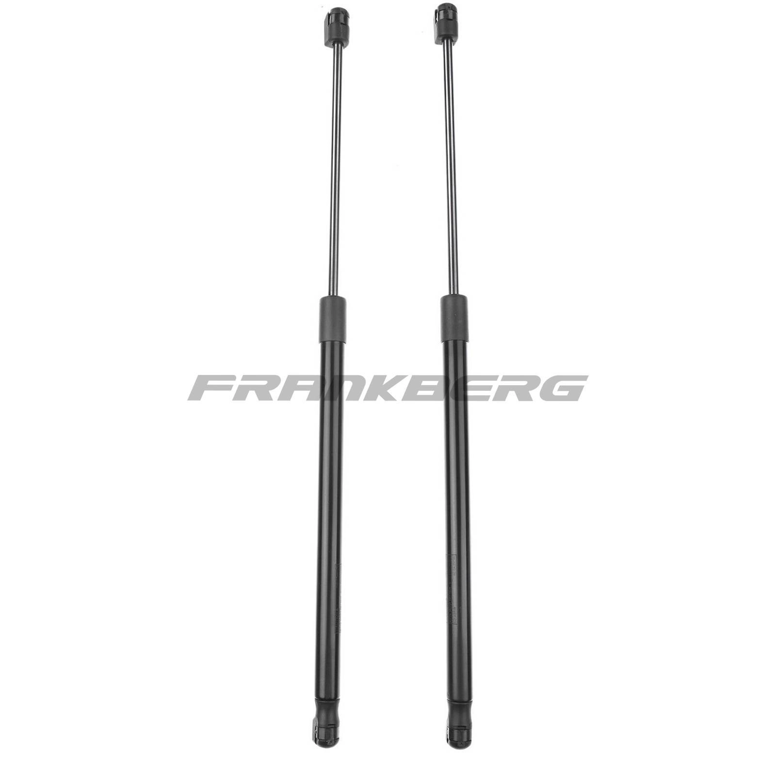 Gas Spring, boot/cargo area