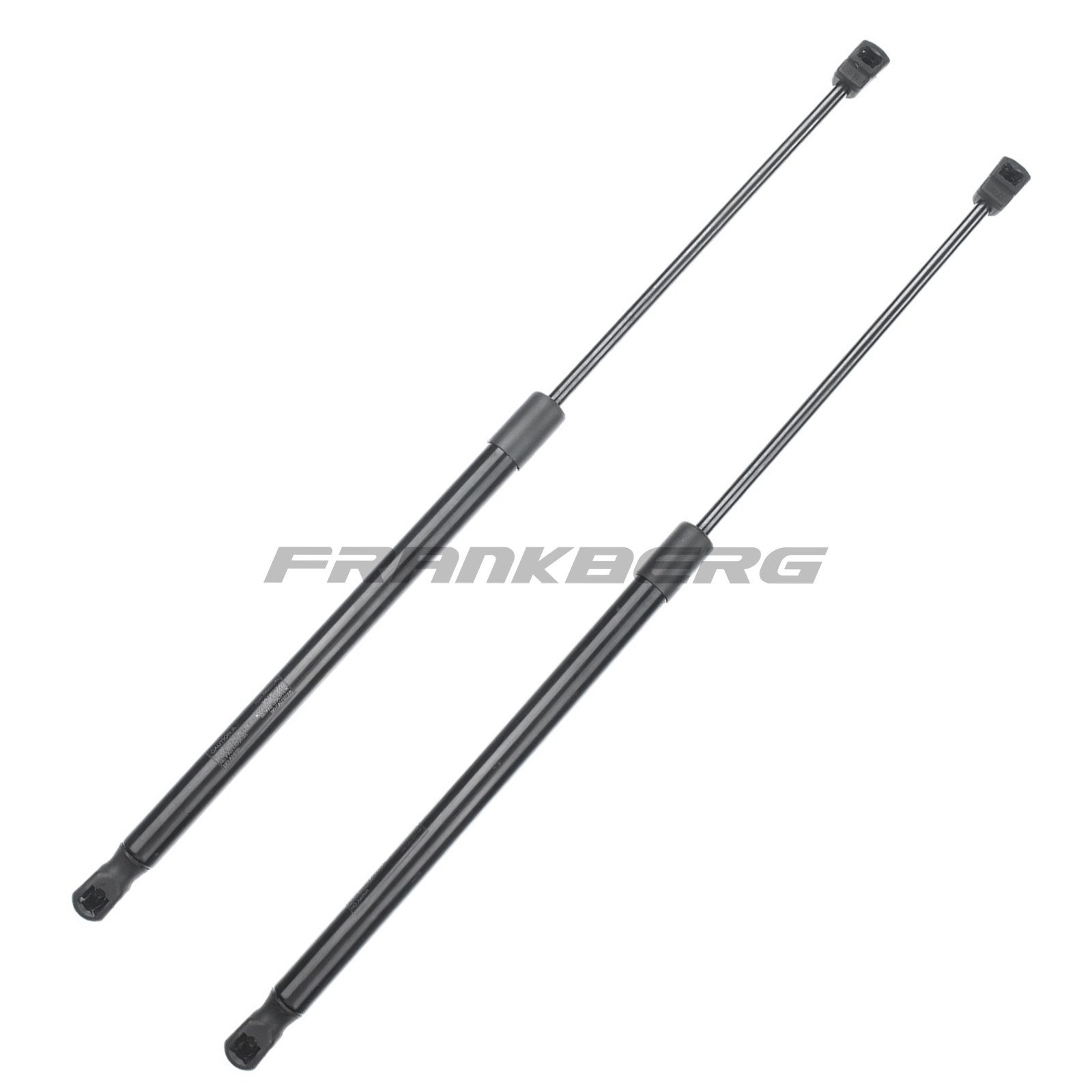 Gas Spring, boot/cargo area