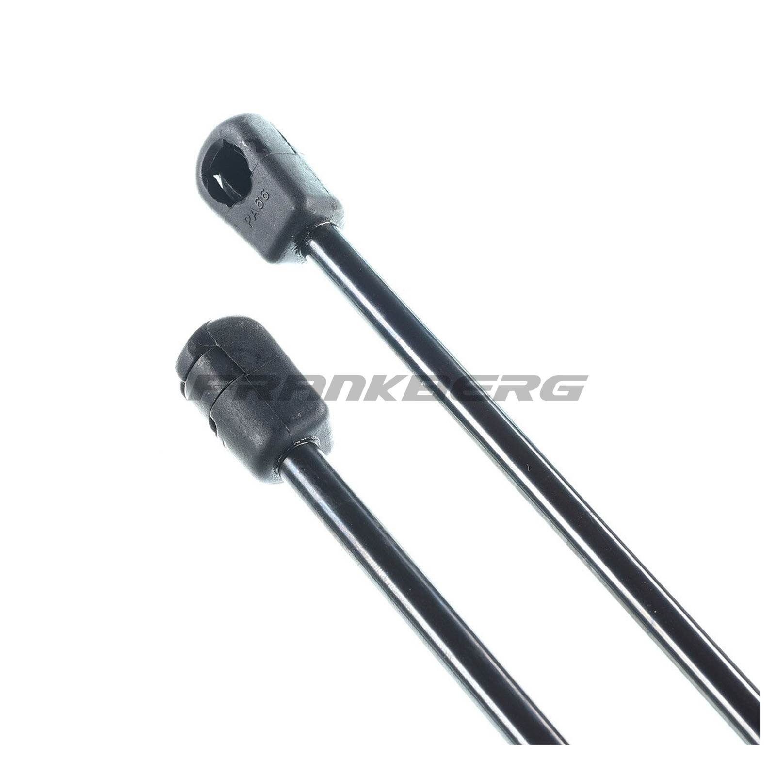 Gas Spring, boot/cargo area