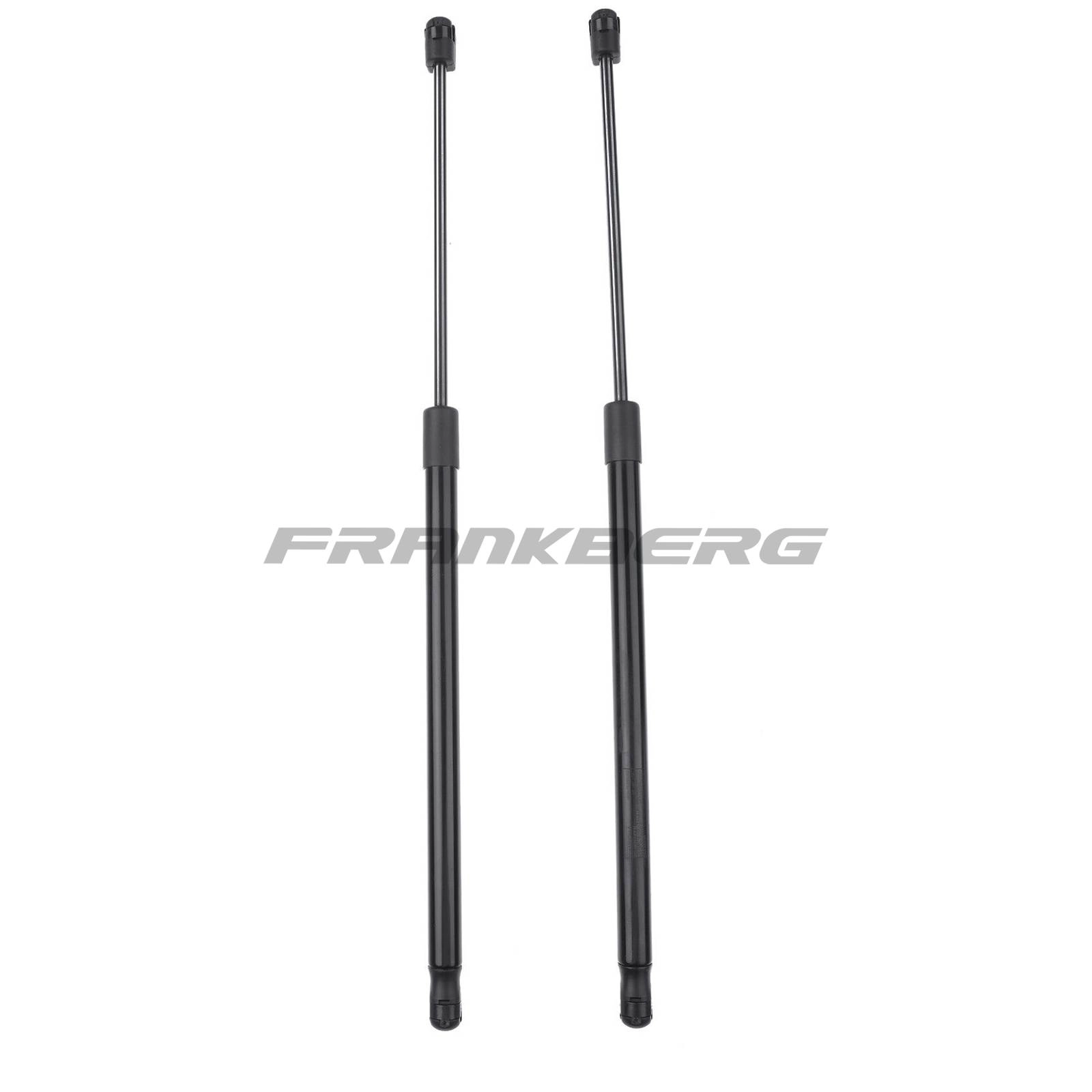 Gas Spring, boot/cargo area