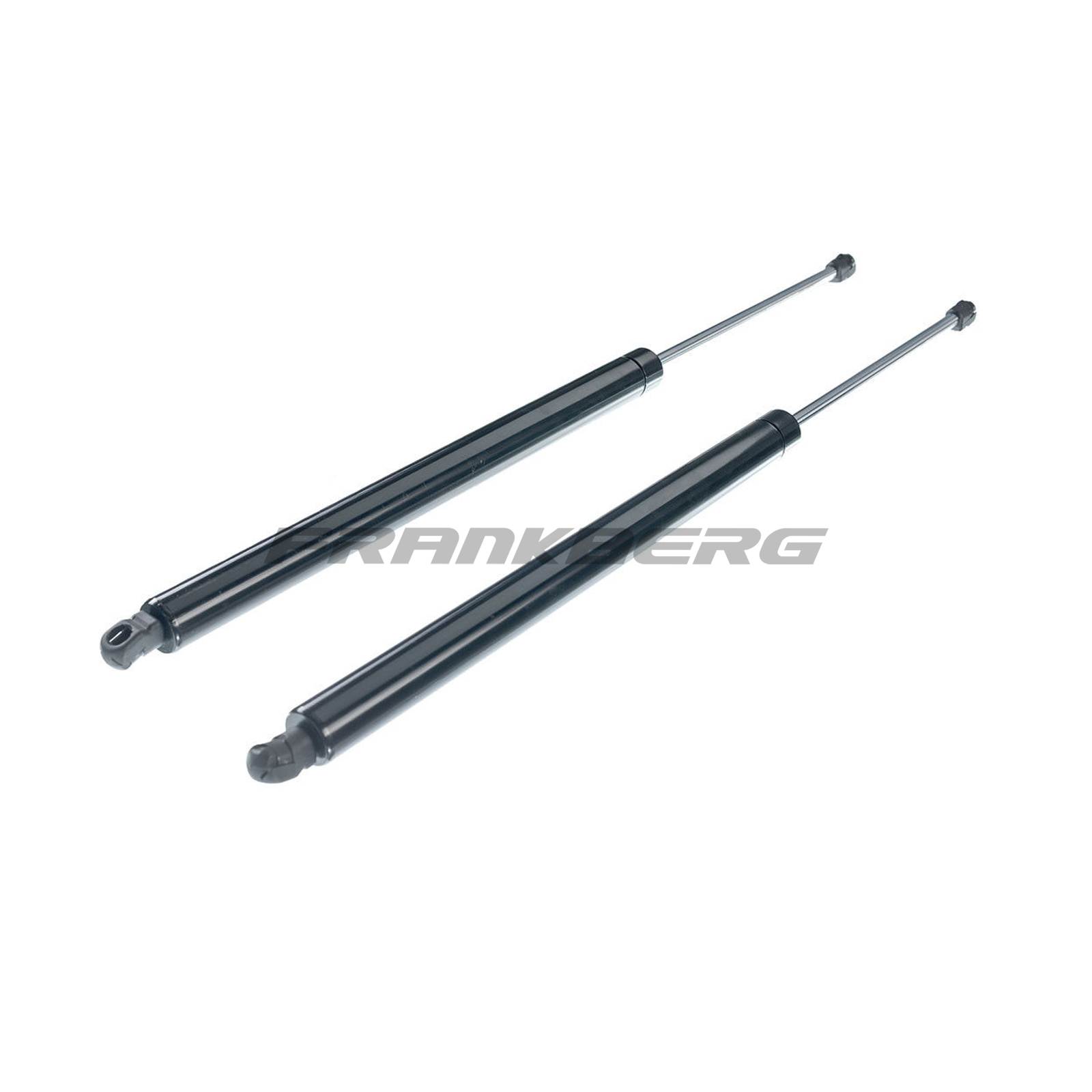 Gas Spring, boot/cargo area