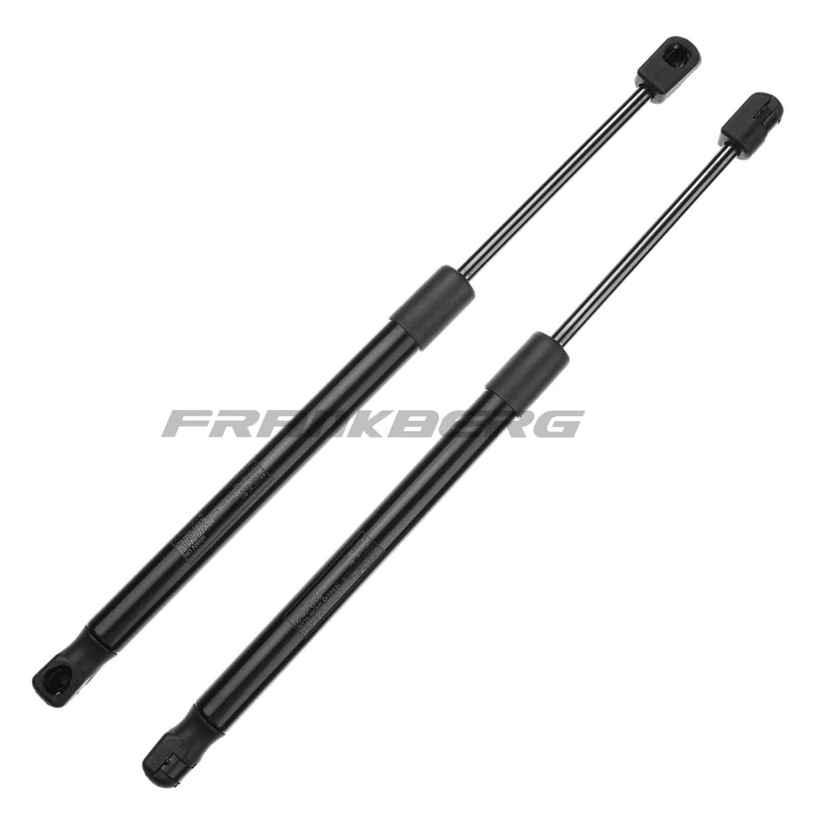Gas Spring, boot/cargo area
