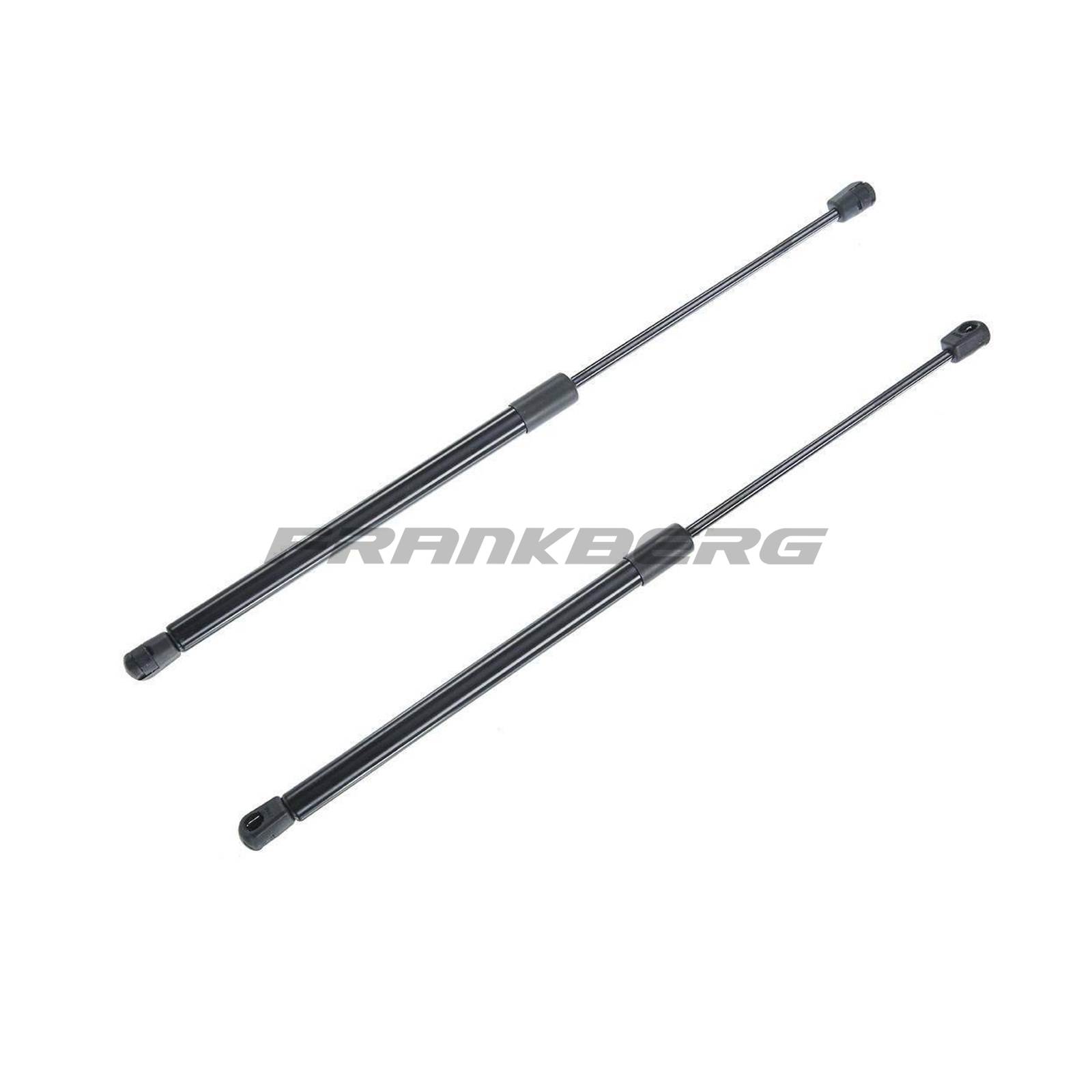 Gas Spring, boot/cargo area