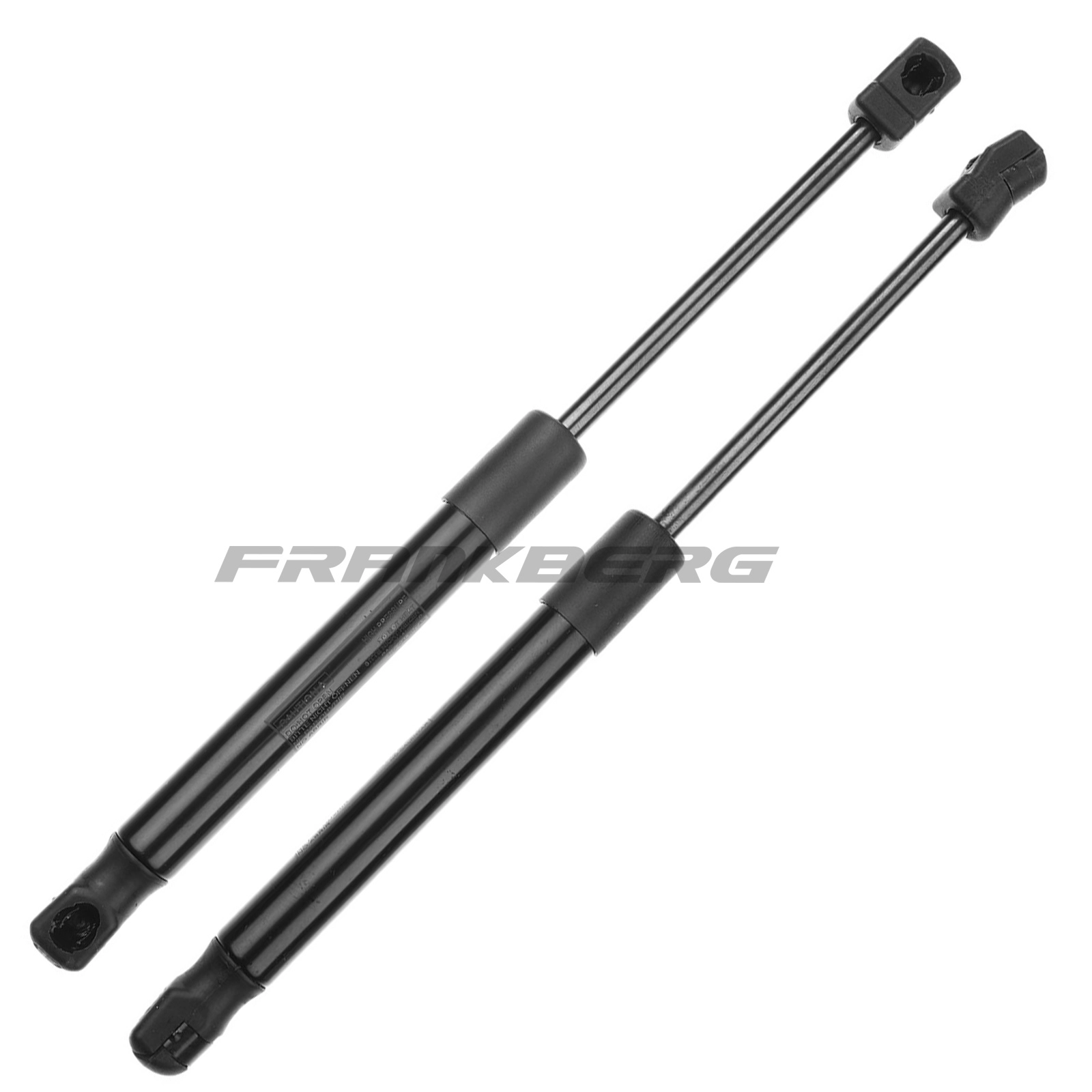 Gas Spring, boot/cargo area