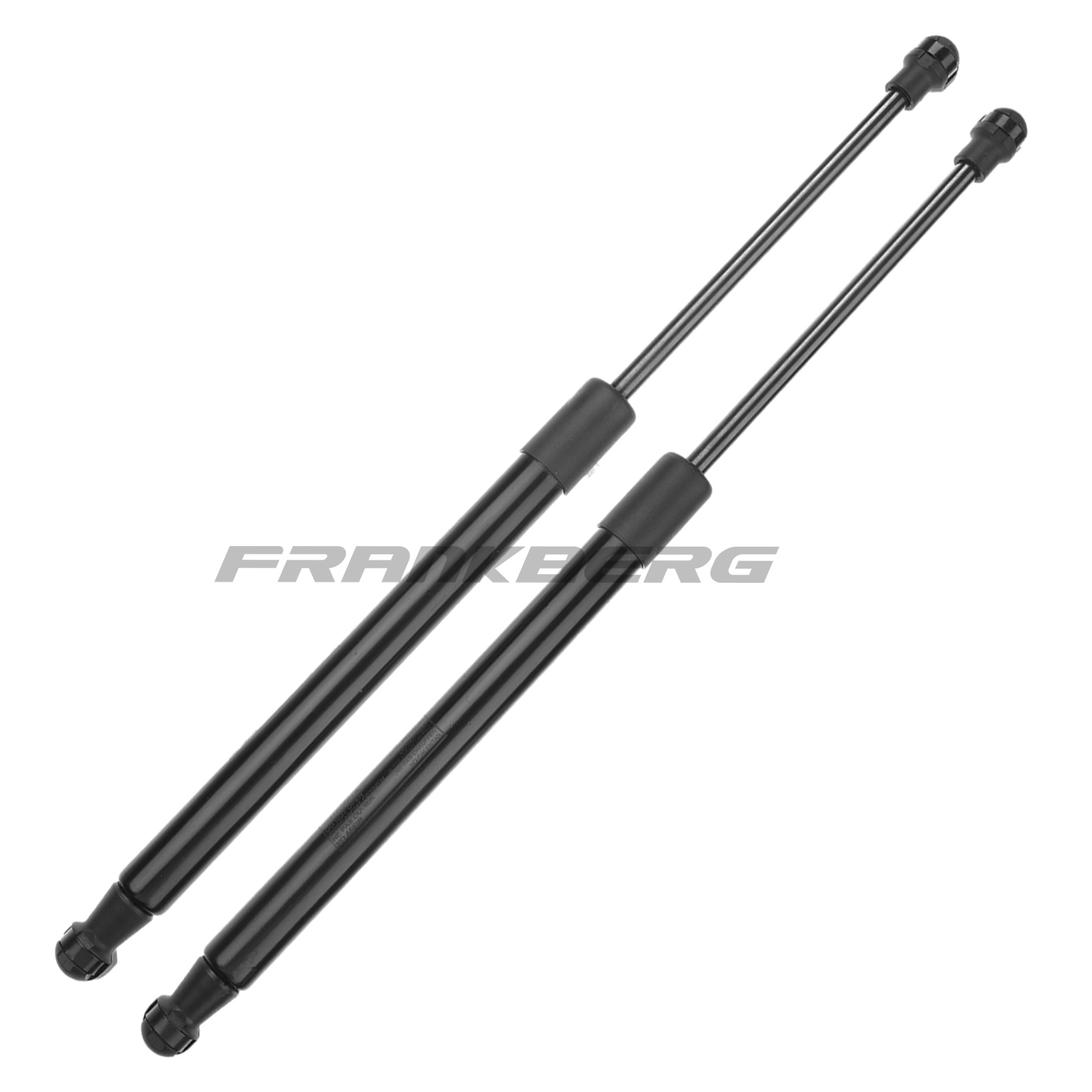 Gas Spring, boot/cargo area