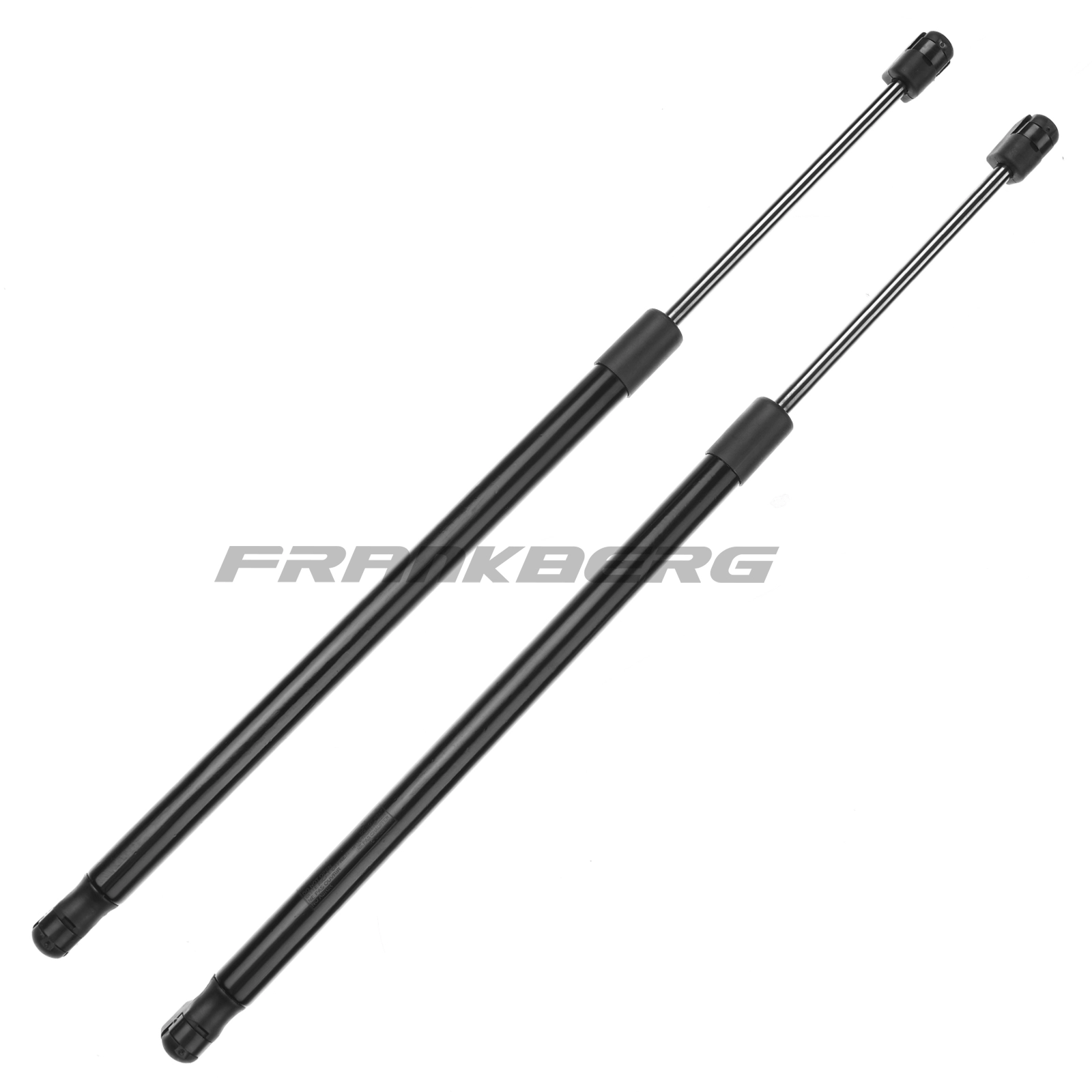 Gas Spring, boot/cargo area