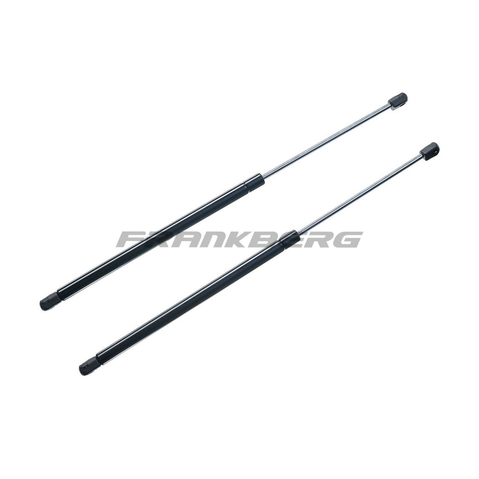 Gas Spring, boot/cargo area