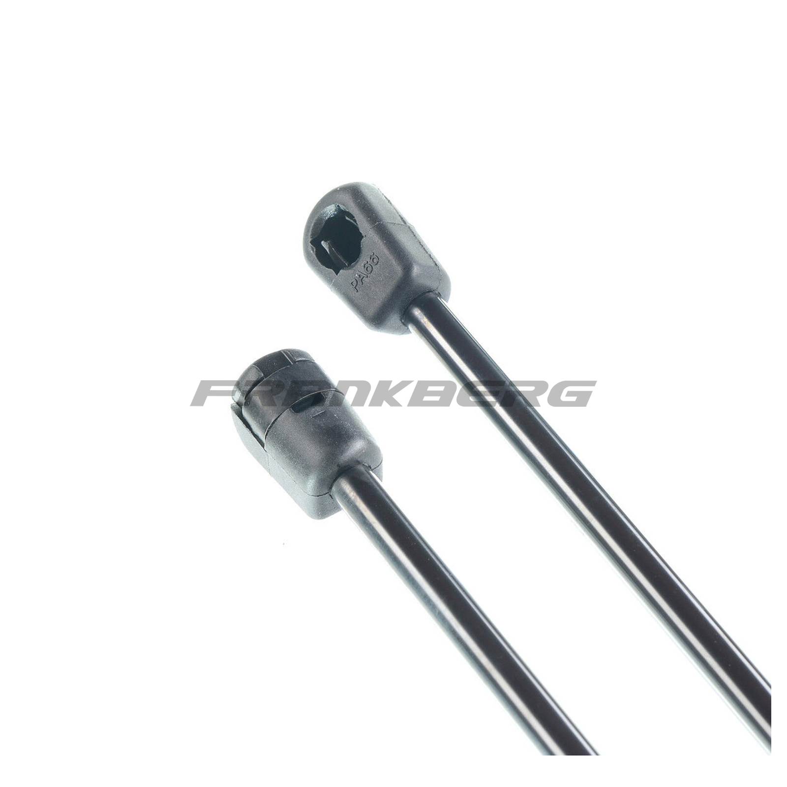 Gas Spring, boot/cargo area