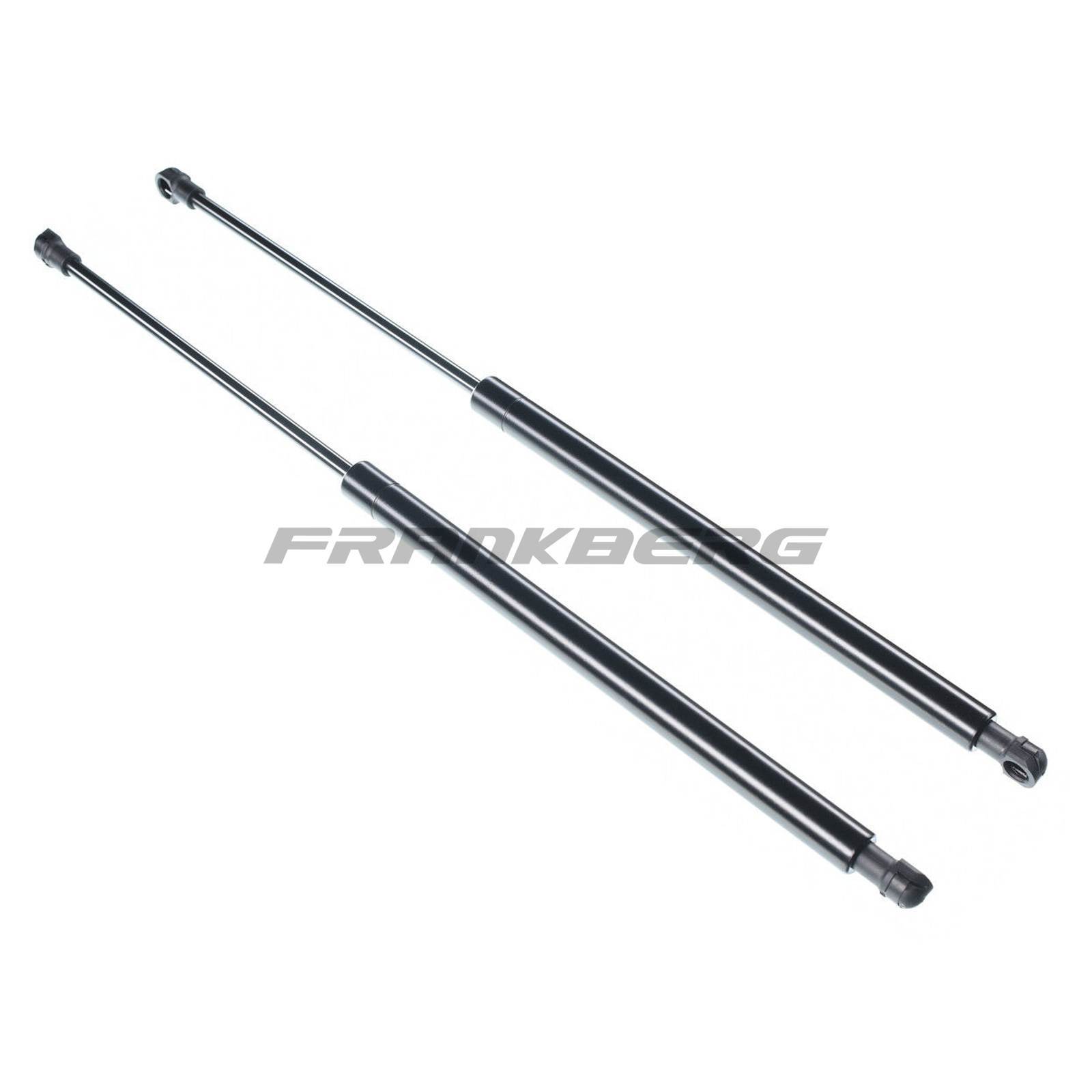 Gas Spring, boot/cargo area