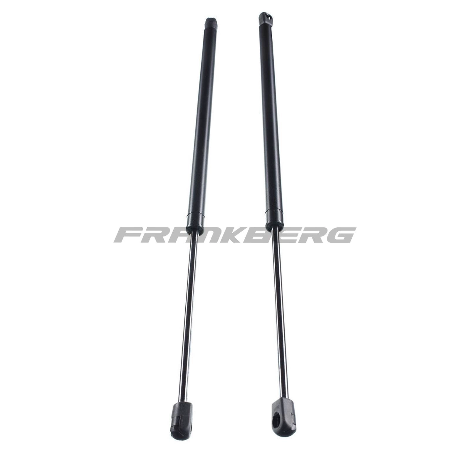 Gas Spring, boot/cargo area