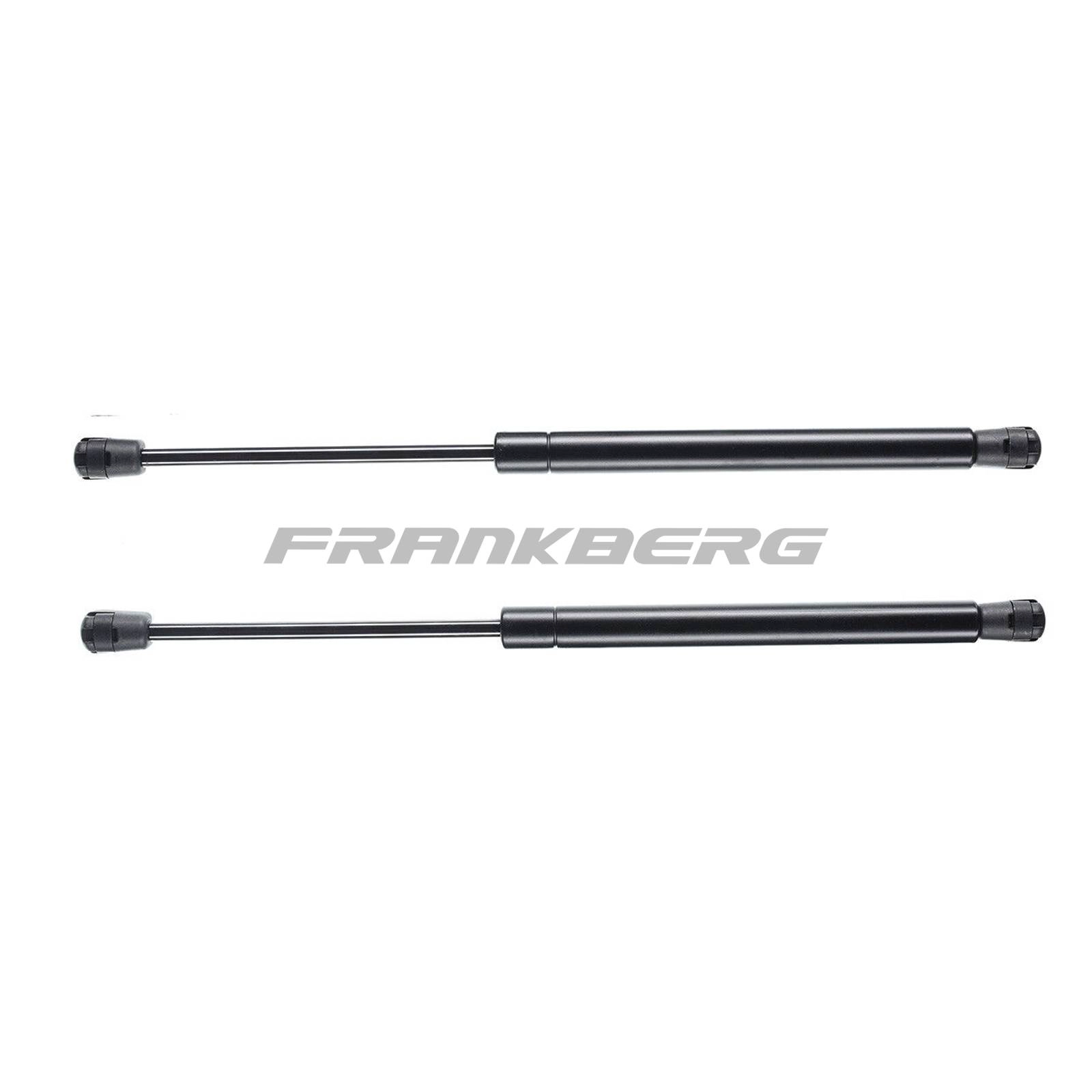 Gas Spring, boot/cargo area