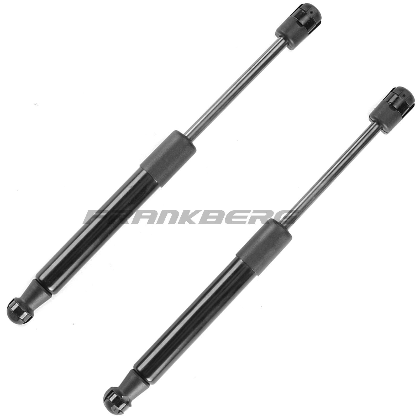 Gas Spring, boot/cargo area