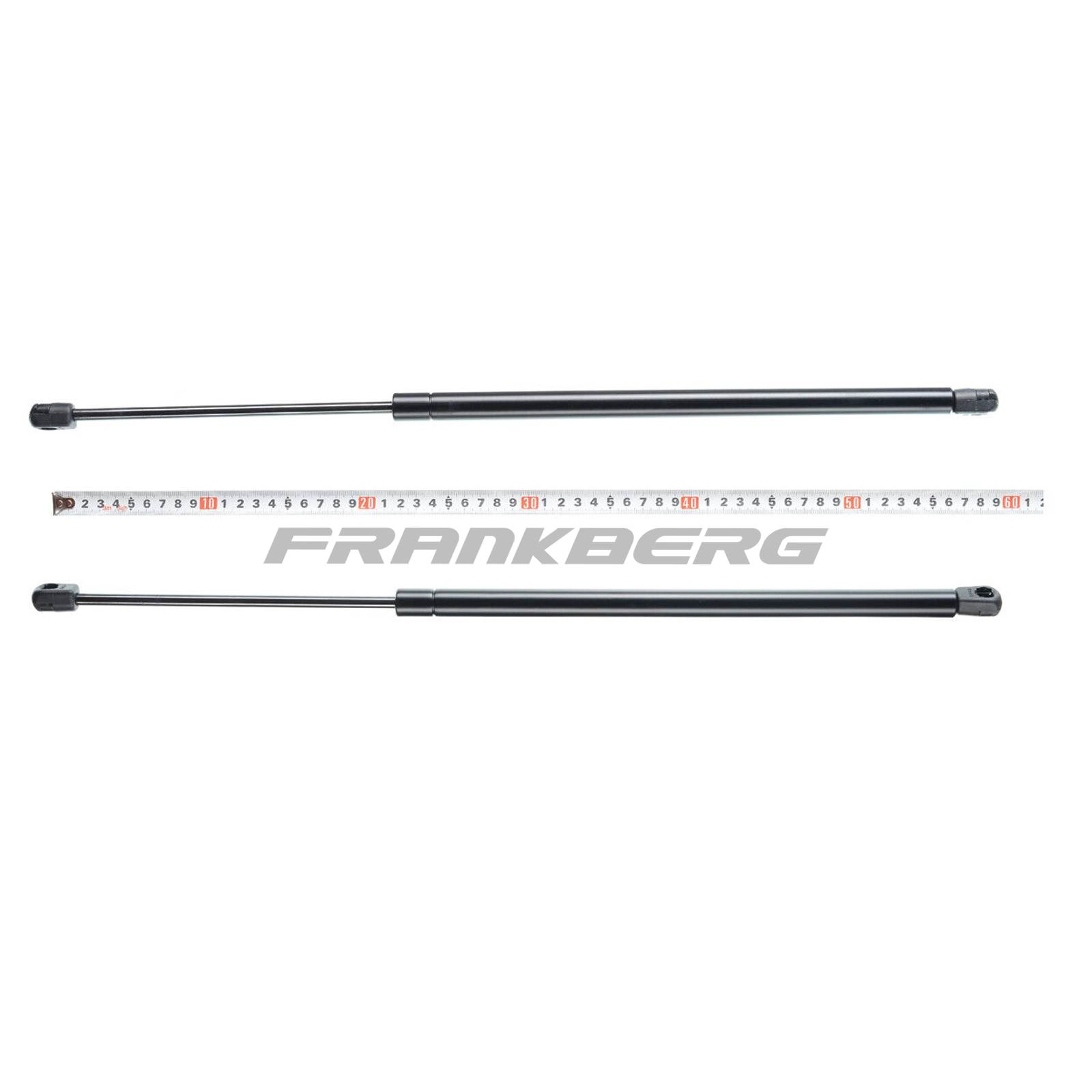 Gas Spring, boot/cargo area
