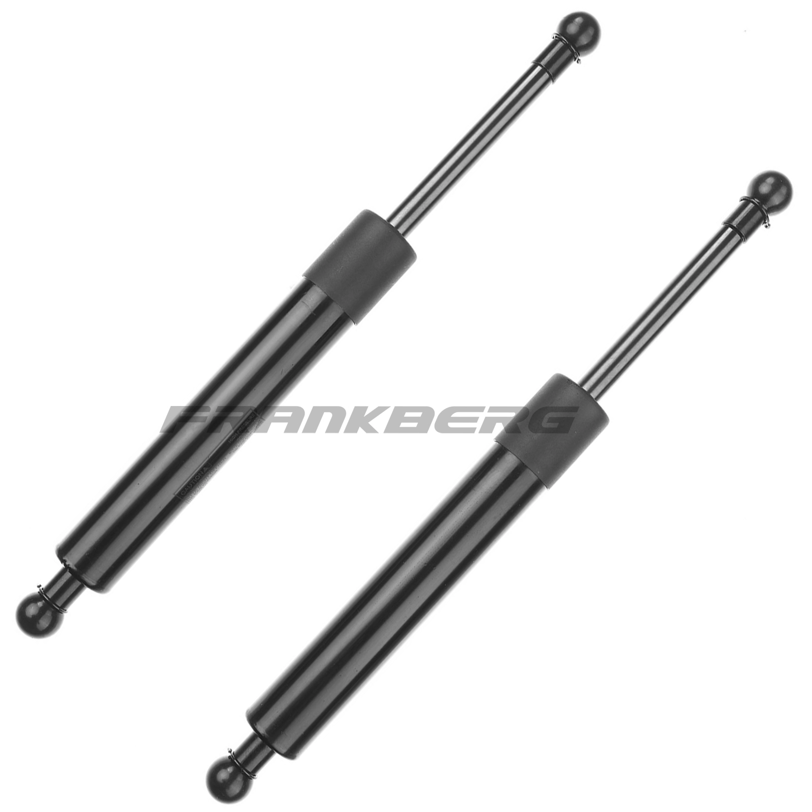 Gas Spring, boot/cargo area
