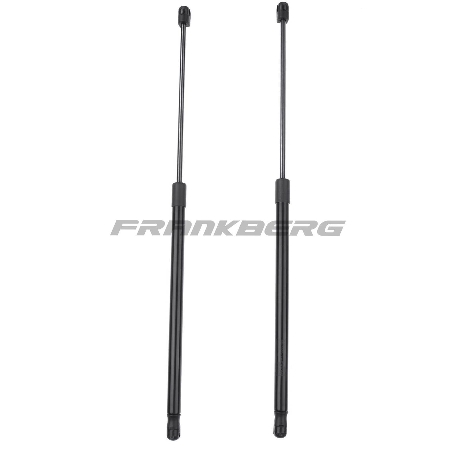 Gas Spring, boot/cargo area