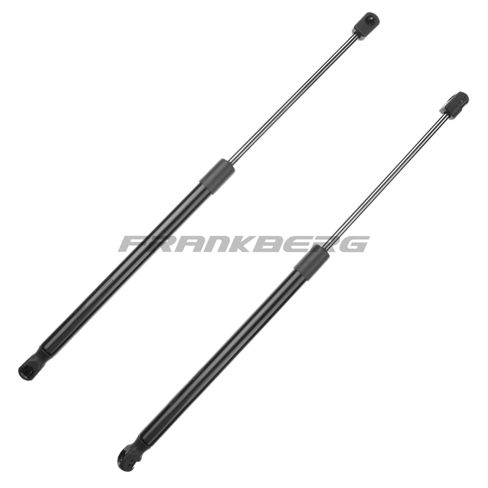 Gas Spring, boot/cargo area