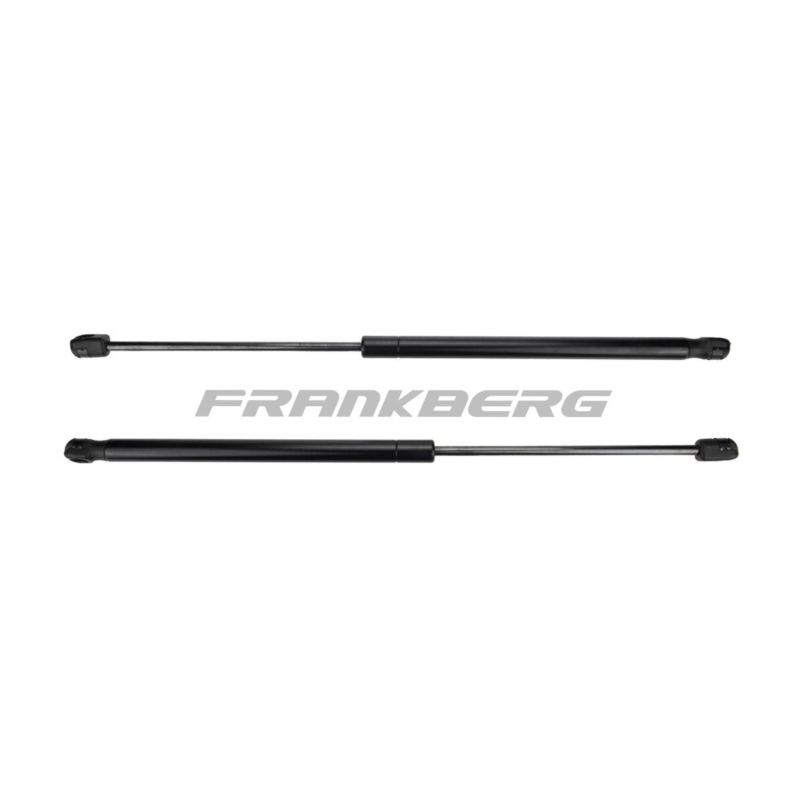 Gas Spring, boot/cargo area