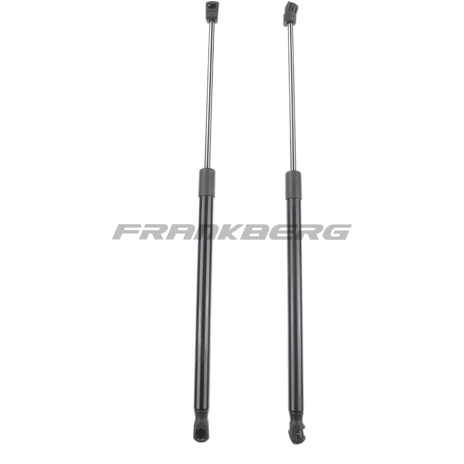 Gas Spring, boot/cargo area