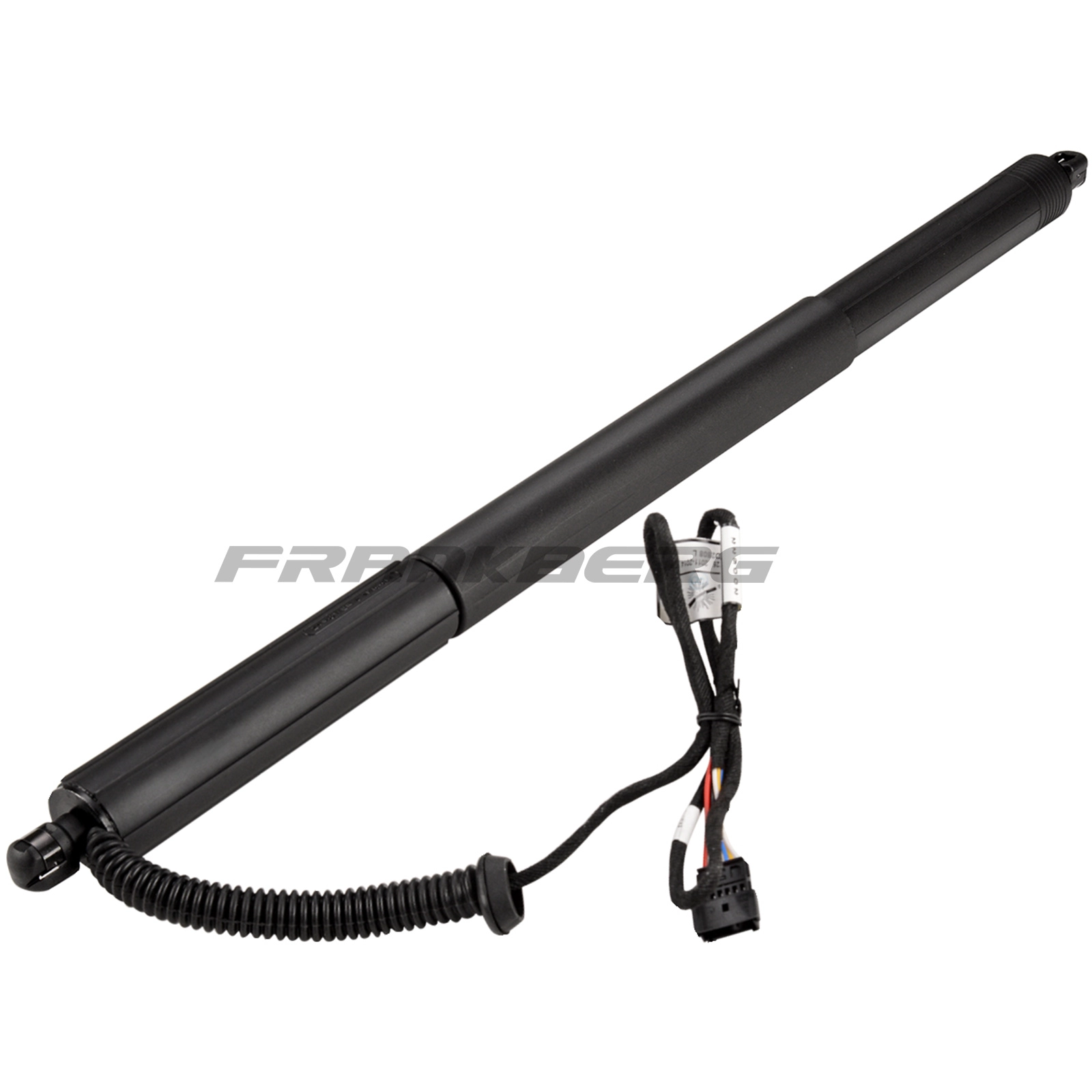 Gas Spring, boot/cargo area