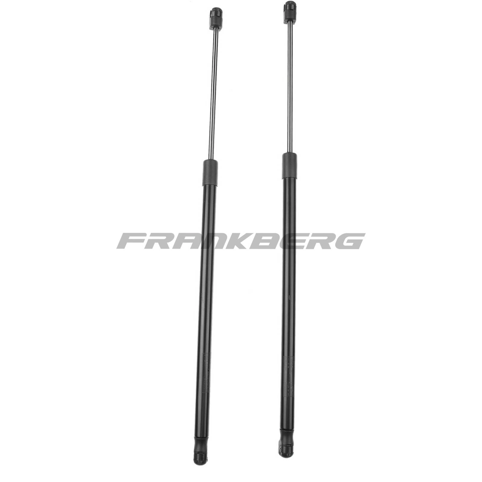 Gas Spring, boot/cargo area