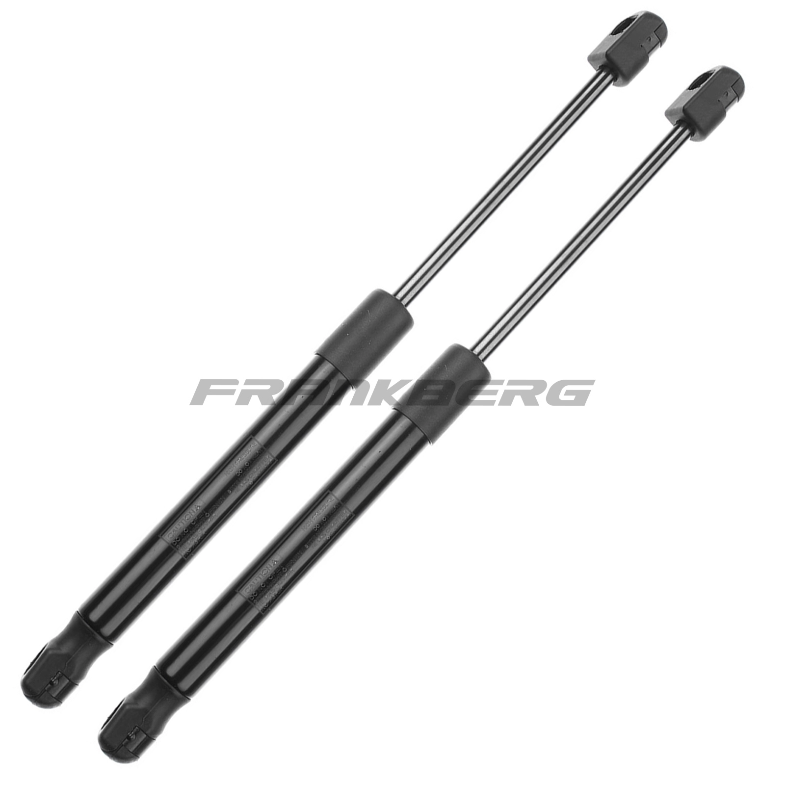 Gas Spring, boot/cargo area