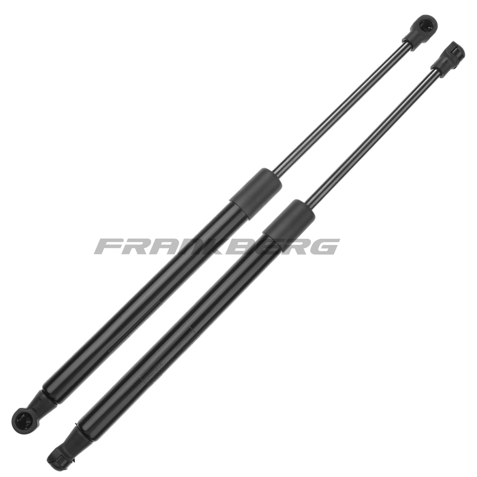Gas Spring, boot/cargo area