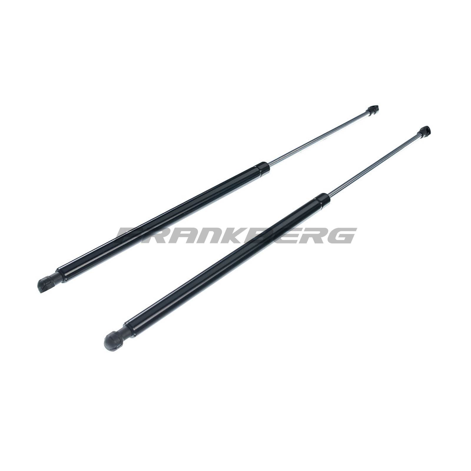 Gas Spring, boot/cargo area
