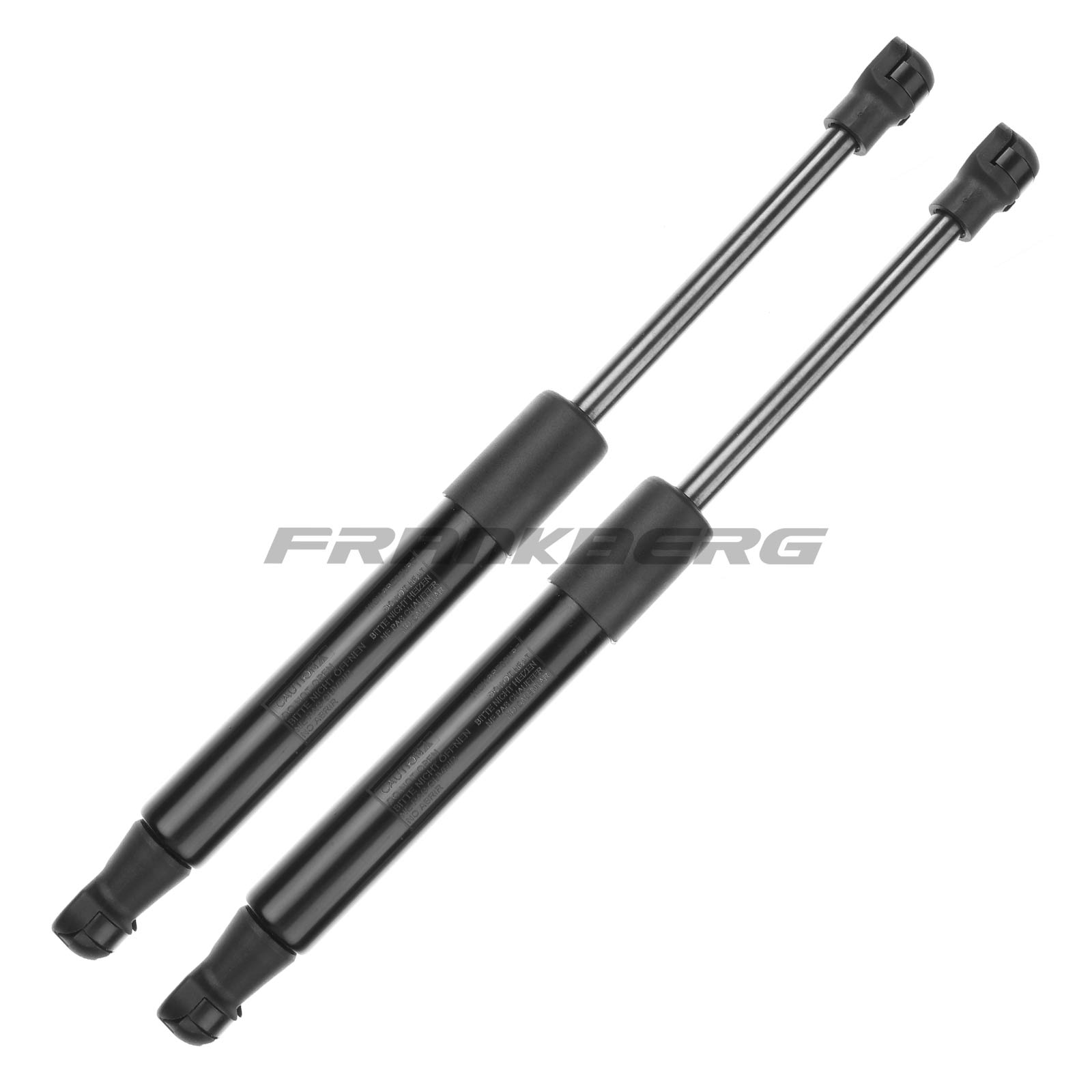 Gas Spring, boot/cargo area