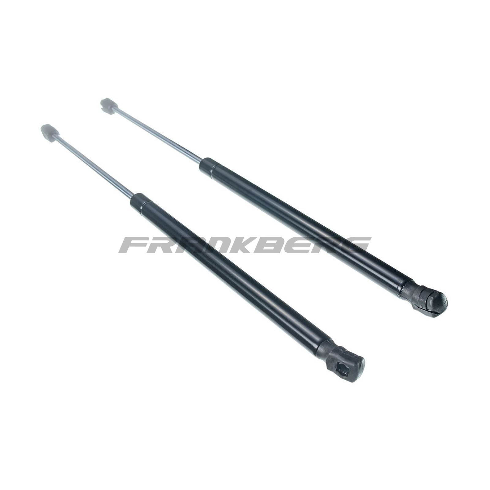Gas Spring, boot/cargo area