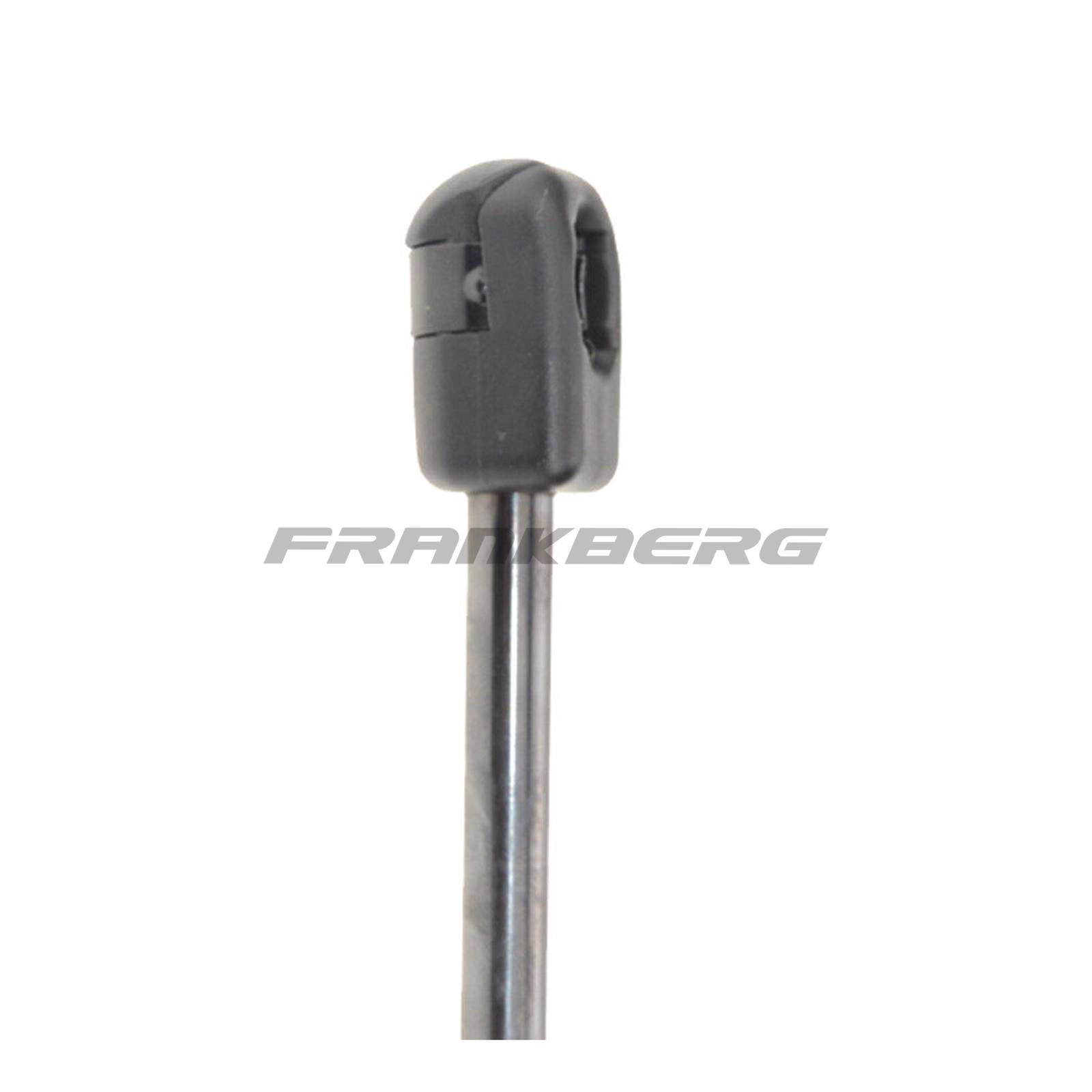 Gas Spring, boot/cargo area