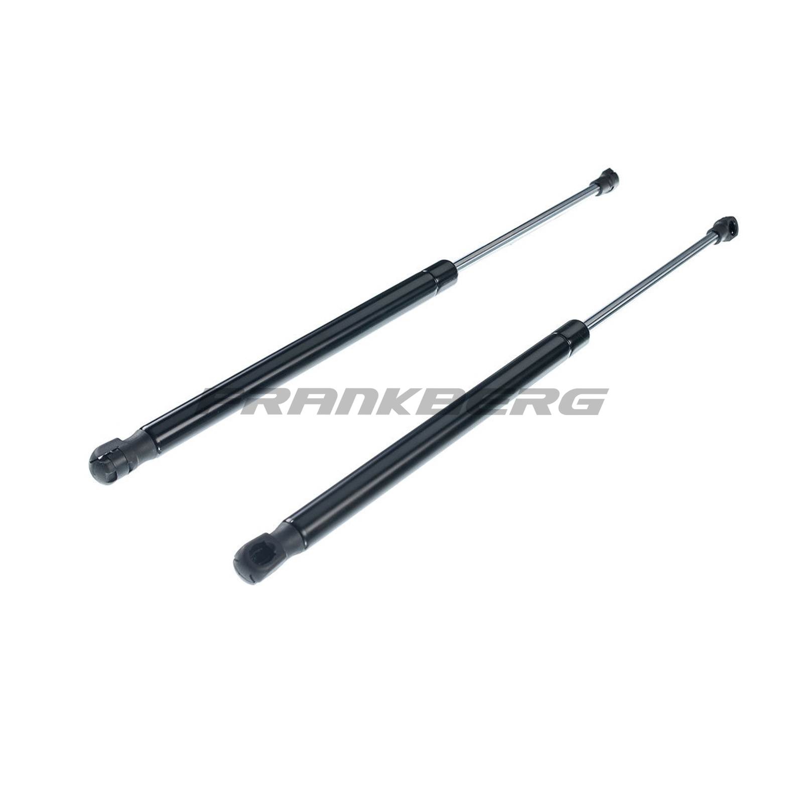 Gas Spring, boot/cargo area