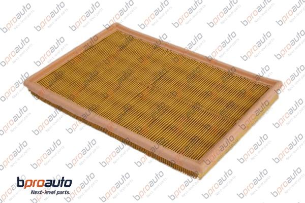 Air Filter (1BP31217AA)