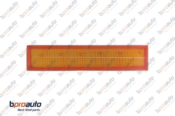 Air Filter (1BP31250AA)