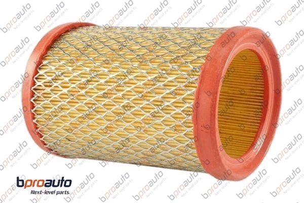 Air Filter (1BP31317AA)