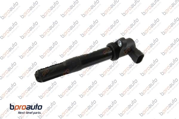Ignition Coil (1BP30317AA)