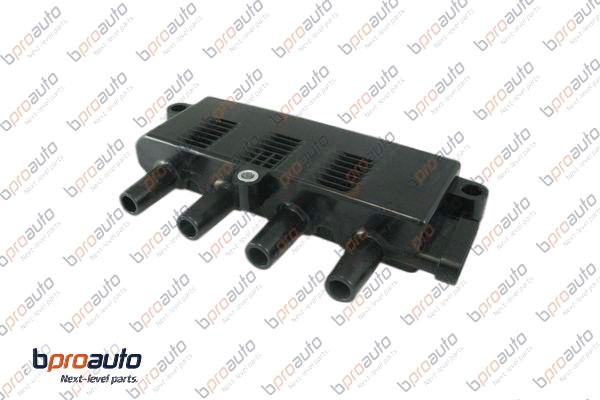 Ignition Coil (1BP30309AA)