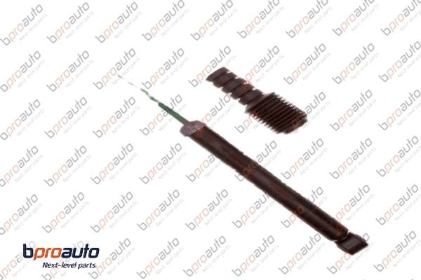 Shock Absorber (1BP30075AA)