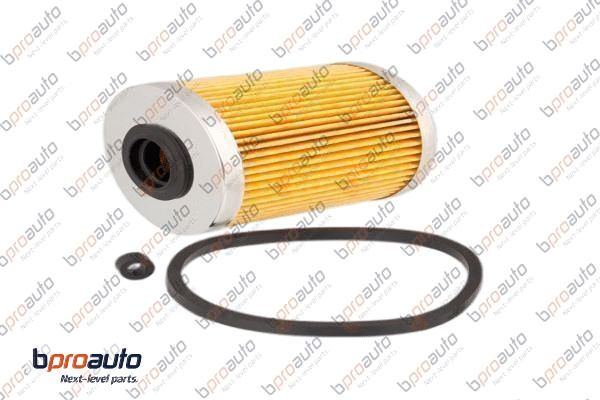 Fuel Filter (1BP31383AA)