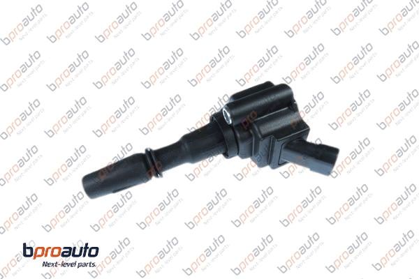 Ignition Coil (1BP30319AA)
