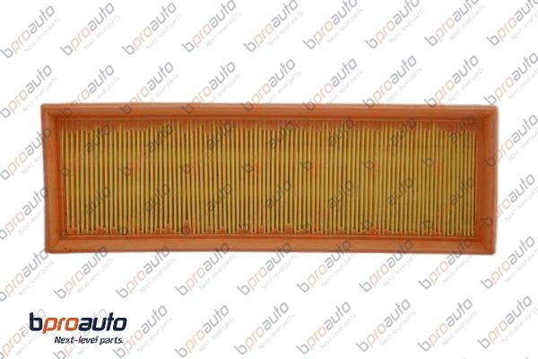Air Filter (1BP31224AA)