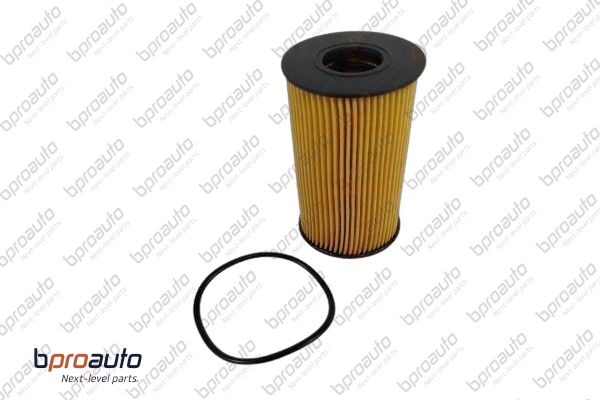 Oil Filter (1BP31440AA)